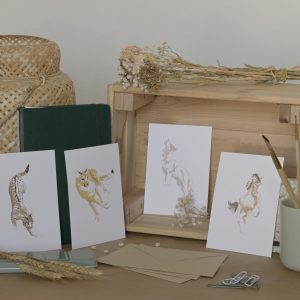 Carte postale - Félins