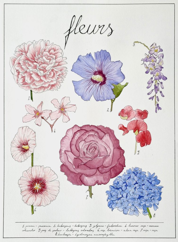 Fleurs