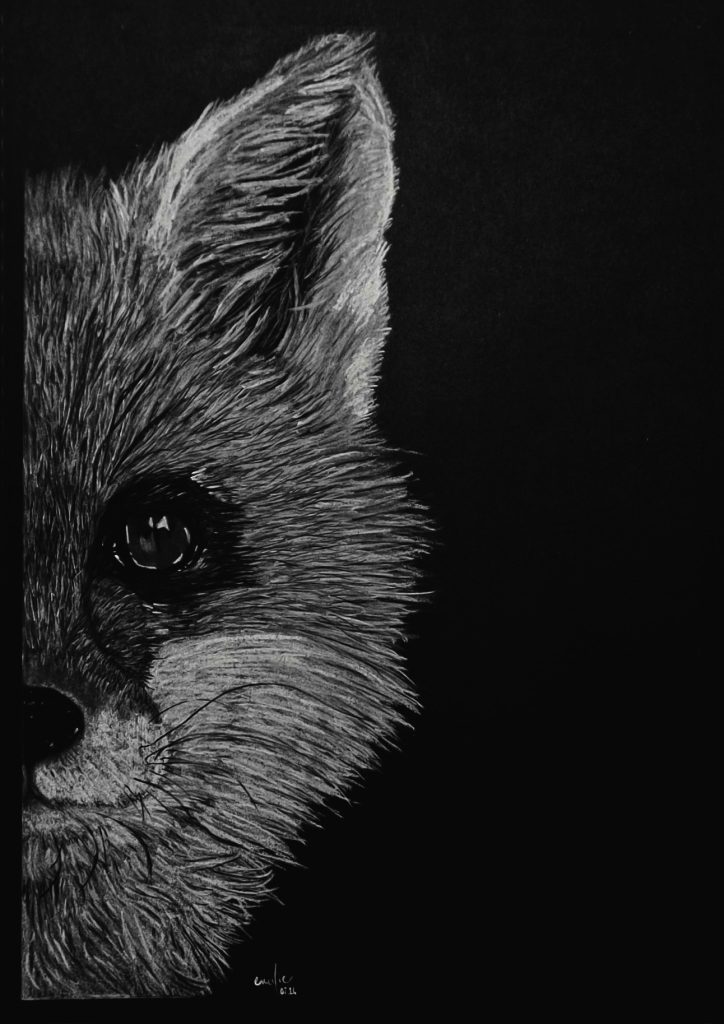 Renard